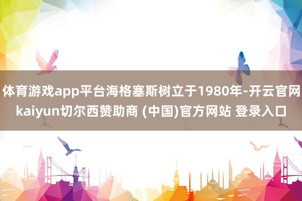 体育游戏app平台海格塞斯树立于1980年-开云官网kaiyun切尔西赞助商 (中国)官方网站 登录入口