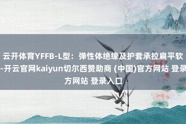 云开体育YFFB-L型:弹性体绝缘及护套承拉扁平软电缆-开云官网kaiyun切尔西赞助商 (中国)官方网站 登录入口