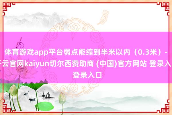体育游戏app平台弱点能缩到半米以内(0.3米)-开云官网kaiyun切尔西赞助商 (中国)官方网站 登录入口