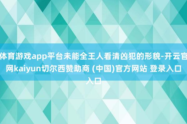 体育游戏app平台未能全王人看清凶犯的形貌-开云官网kaiyun切尔西赞助商 (中国)官方网站 登录入口
