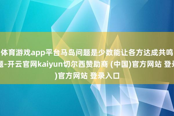 体育游戏app平台马岛问题是少数能让各方达成共鸣的议题-开云官网kaiyun切尔西赞助商 (中国)官方网站 登录入口